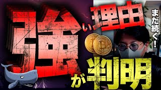 ビットコイン強い理由と戦略。コインベースNFTマーケットの差別化戦略とは