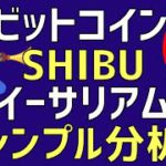 🐕SHIBUがあのロビンフッド上場‼🐕ビットコイン・イーサリアム📈分析とドルインデックス解説🔥