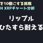 耐えることに意味がある｜ビットコイン、イーサリアム、リップルの値動きを解説