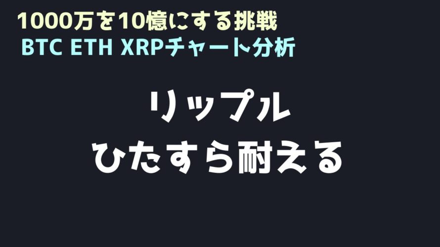 耐えることに意味がある|ビットコイン、イーサリアム、リップルの値動きを解説