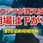 クジラが買えば相場は下がる＜ビットコイン最新相場情報＞