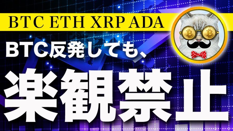 【気を付けて】ビットコイン・週明けの下落に警戒!【仮想通貨・戦略を先出しで毎日更新】