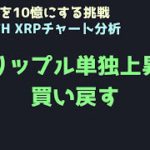 大好きなリップルを応援する｜ビットコイン、イーサリアム、リップルの値動きを解説