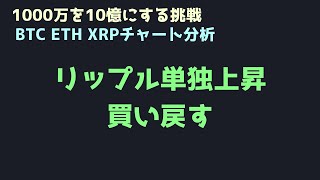 大好きなリップルを応援する|ビットコイン、イーサリアム、リップルの値動きを解説