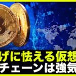 仮想通貨も利上げに怯える？しかしオンチェーンは強気継続！