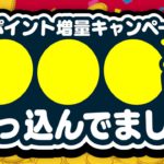 【暴露】実は…○○○万円ぶっ込んでました【ポイ活】