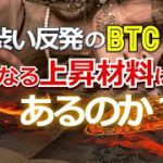 渋い反発のビットコイン、更なる上昇材料はあるか？