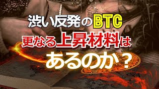渋い反発のビットコイン、更なる上昇材料はあるか?