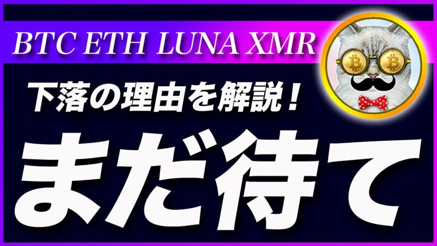 【我慢】ビットコイン・下落の原因は原油です!決算は悪くないですよ!【仮想通貨・戦略を先出しで毎日更新】