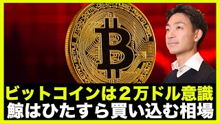 ビットコインは2万ドル意識!鯨はビットコインを買い込む