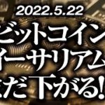 ビットコイン・イーサリアムまだ下がる！？［2022/5/22］【仮想通貨・BTC・ETH・FX】