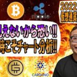 【仮想通貨 ﾋﾞｯﾄｺｲﾝBTC ＆ ｱﾙﾄｺｲﾝ 分析】底が見えないから怖いんだ!!そんな時こそチャート分析!!