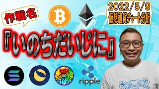 【仮想通貨 ビットコインBTC & アルトコイン 分析】作戦名『いのちだいじに』