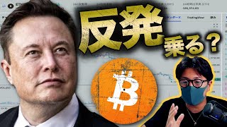 仮想通貨市場反発も警戒!イーロン「経済は破綻する」…Everdome最新情報!!