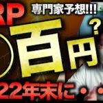 XRPリップルの2022年末価格予想がやばい。ビットコインまだ下げる？