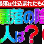 今回の大暴落の真犯人が判明！！！？ビットコインはしばらく放置します。