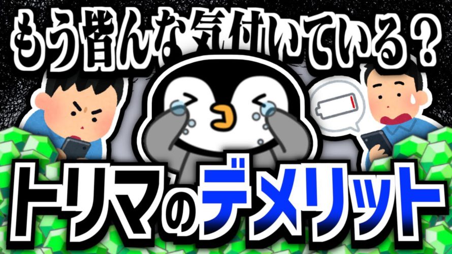 【不満?】トリマのデメリットを包み隠さずに話します【ポイ活】