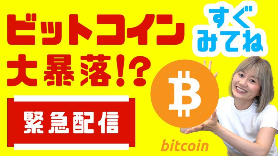 今すぐみて‼ビットコイン大暴落か?!【一週間で消すかも‼】