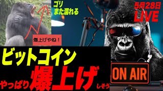 【爆上げ】ビットコイン、また爆上げシグナル点灯し、ゴリ濡れるw