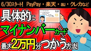 【超最速！】ﾏｲﾅﾝﾊﾞｰｶｰﾄﾞで最大2万円分もらって使おうとしたら超楽勝だったので具体的に解説【ﾏｲﾅﾎﾟｲﾝﾄ第2弾/ｷｬｯｼｭﾚｽ決済･PayPay他/公金受取口座/ﾏｲﾅ保険証が損する問題】