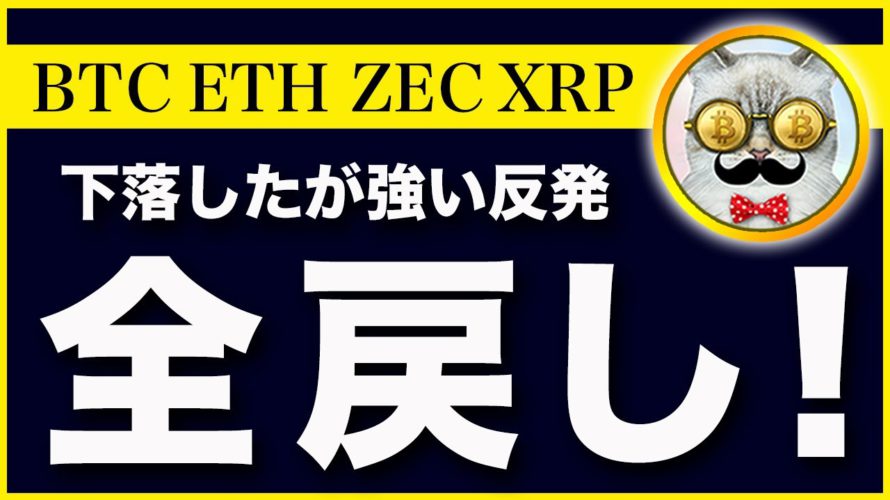 【強反発!しかし、、】ビットコイン・6/10の米CPI発表までは相場は不安定です【仮想通貨・戦略を先出しで毎日更新】