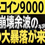 ビットコイン9000ドル！？噂される仮想通貨市場の更なる大暴落はあるのか？現在の与沢翼の見解