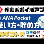 【オススメ移動系ポイ活アプリ】ANA Pocketの使い方と貯め方＜トリマの次はこれ＞