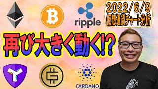 【仮想通貨 ビットコインBTC & アルトコイン 分析】再び大きな動きが来る!?