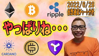 【仮想通貨 ビットコインBTC & アルトコイン 分析】やっぱりそうなるよね・・・!!
