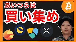 あいつらはもう買い集めてる!仮想通貨情報+BTC LUNC LUNA XEM XRP