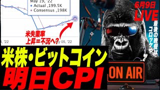 【失業率悪化】米株・ビットコイン、明日CPIインフレどうなる?!最後の晩餐!