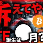 ETF承認しなければ訴える!!●月●日に要注目。