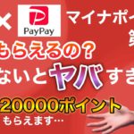 【マイナポイント×PayPay】キャンペーン内容から知らないとヤバい注意点まで徹底解説