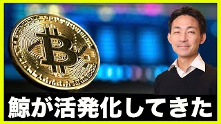 鯨がビットコイン取引を活発化！