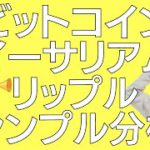 🤔買い場ですがまだ底値とは言えません🤔ビットコイン・イーサリアム・リップル📈分析とドルインデックス解説🔥【超重要】