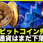 ビットコインを鯨が売却‼️仮想通貨はまだ下落へ！