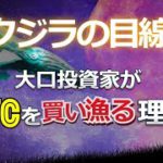 クジラの目線～大口投資家がビットコインを買い漁る理屈