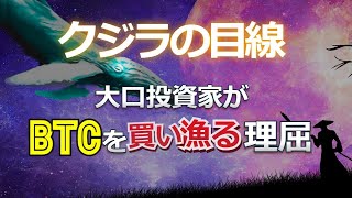 クジラの目線~大口投資家がビットコインを買い漁る理屈