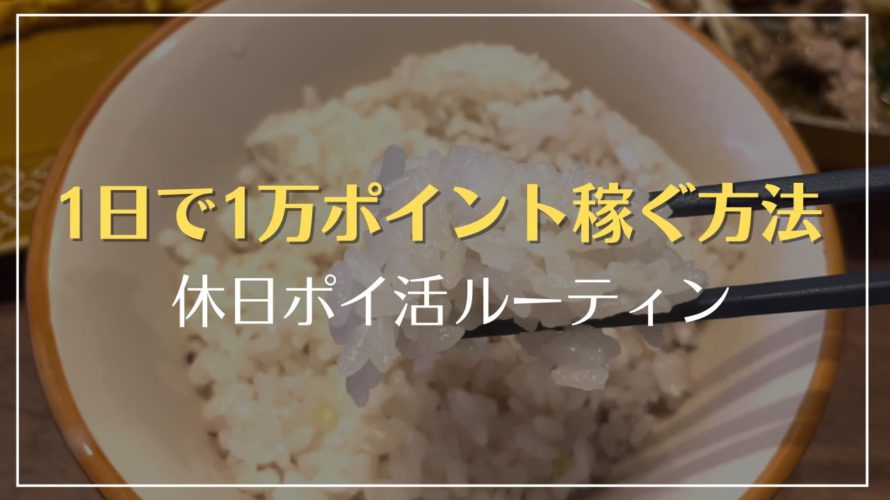 【1日1万ポイント稼ぐ】休日ポイ活ルーティン