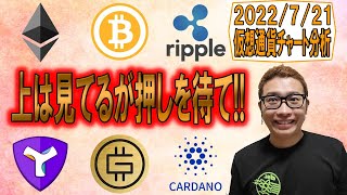 【仮想通貨 ﾋﾞｯﾄｺｲﾝBTC ＆ ｱﾙﾄｺｲﾝ 分析】上は見てるが押し目を待て!!