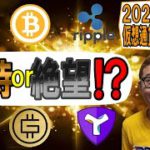 【仮想通貨 ﾋﾞｯﾄｺｲﾝBTC ＆ ｱﾙﾄｺｲﾝ 分析】ダブルボトムの分岐点到達!!期待か絶望か!?