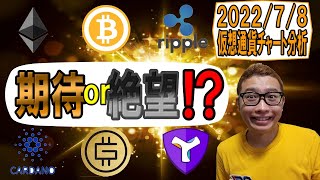 【仮想通貨 ビットコインBTC & アルトコイン 分析】ダブルボトムの分岐点到達!!期待か絶望か!?