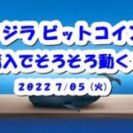 クジラBTCビットコイン購入！そろそろ動く？