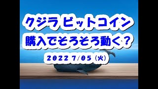 クジラBTCビットコイン購入!そろそろ動く?