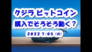 クジラBTCビットコイン購入！そろそろ動く？