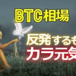 ビットコイン相場は反発するもカラ元気