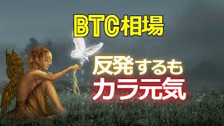 ビットコイン相場は反発するもカラ元気