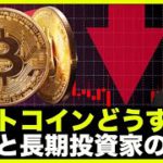 ビットコインどうなる？短期・長期投資家の動きは正反対！