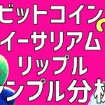 😎話題のビットコインインジケーターにボトムのサイン!!!😎ビットコイン・イーサリアム・リップル📈分析とドルインデックス解説🔥【重要】