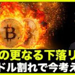 仮想通貨の潜在的急落リスク。ビットコイン二万ドル割れでトレーダーが考えている事。